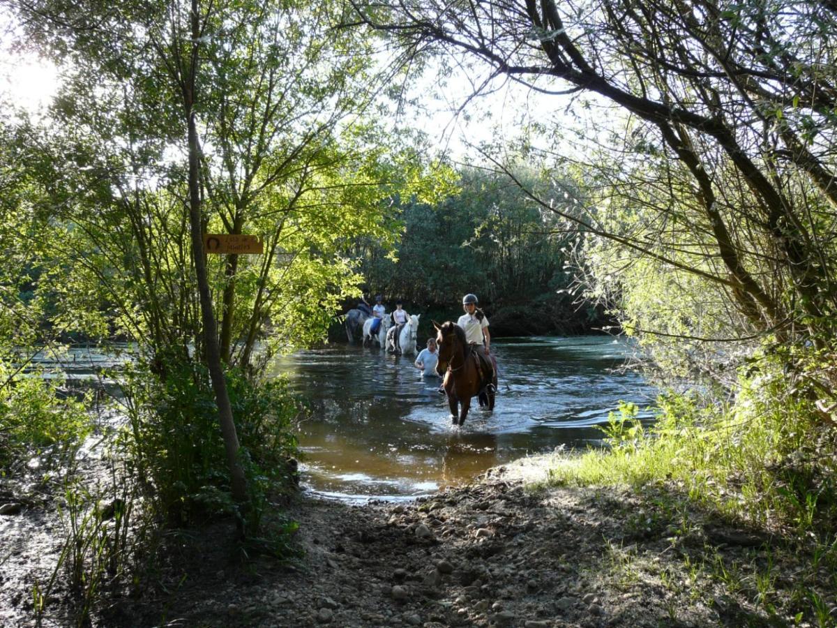 Complejo Oasis Beach Sobre El Rio Huerta  Esterno foto